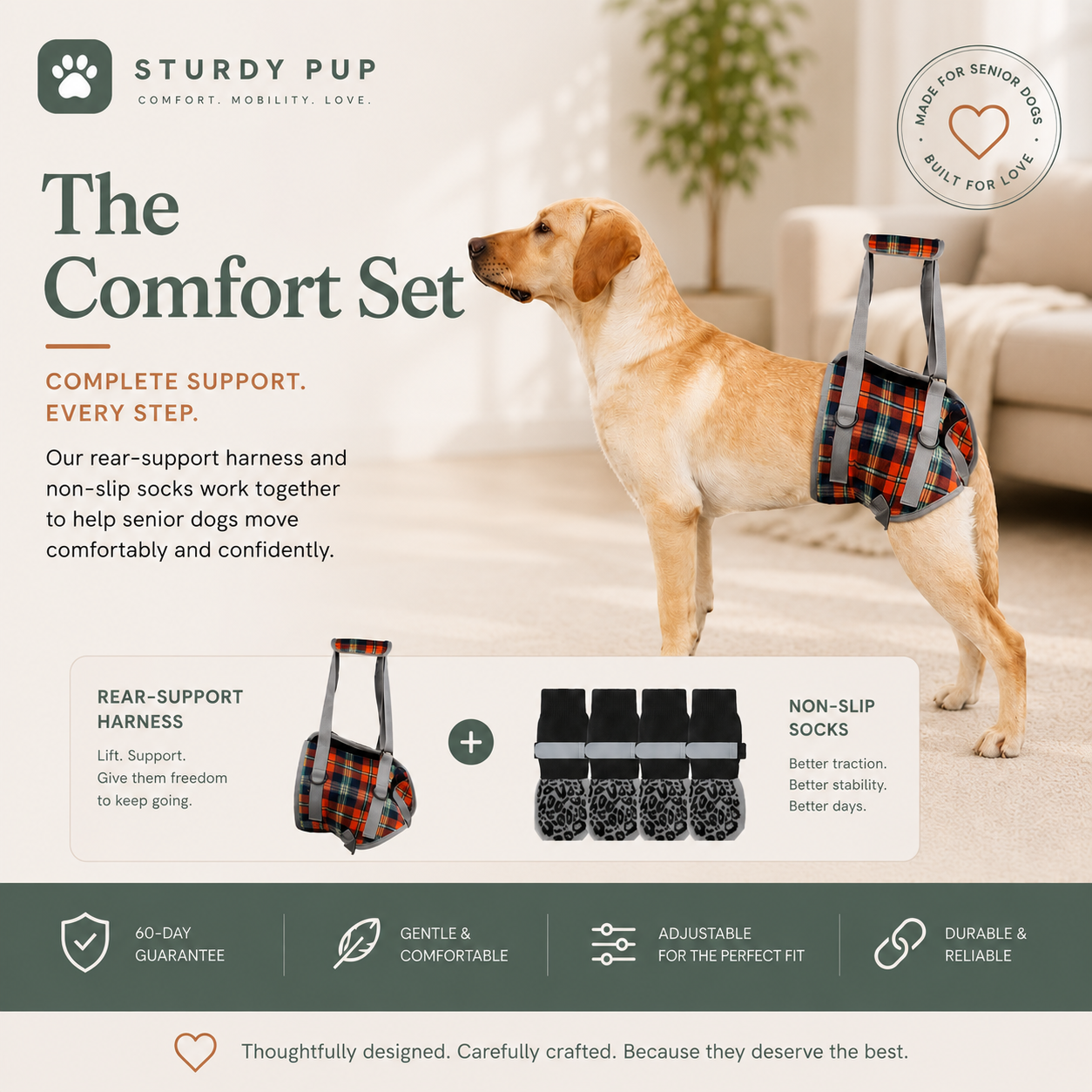 The Comfort Set