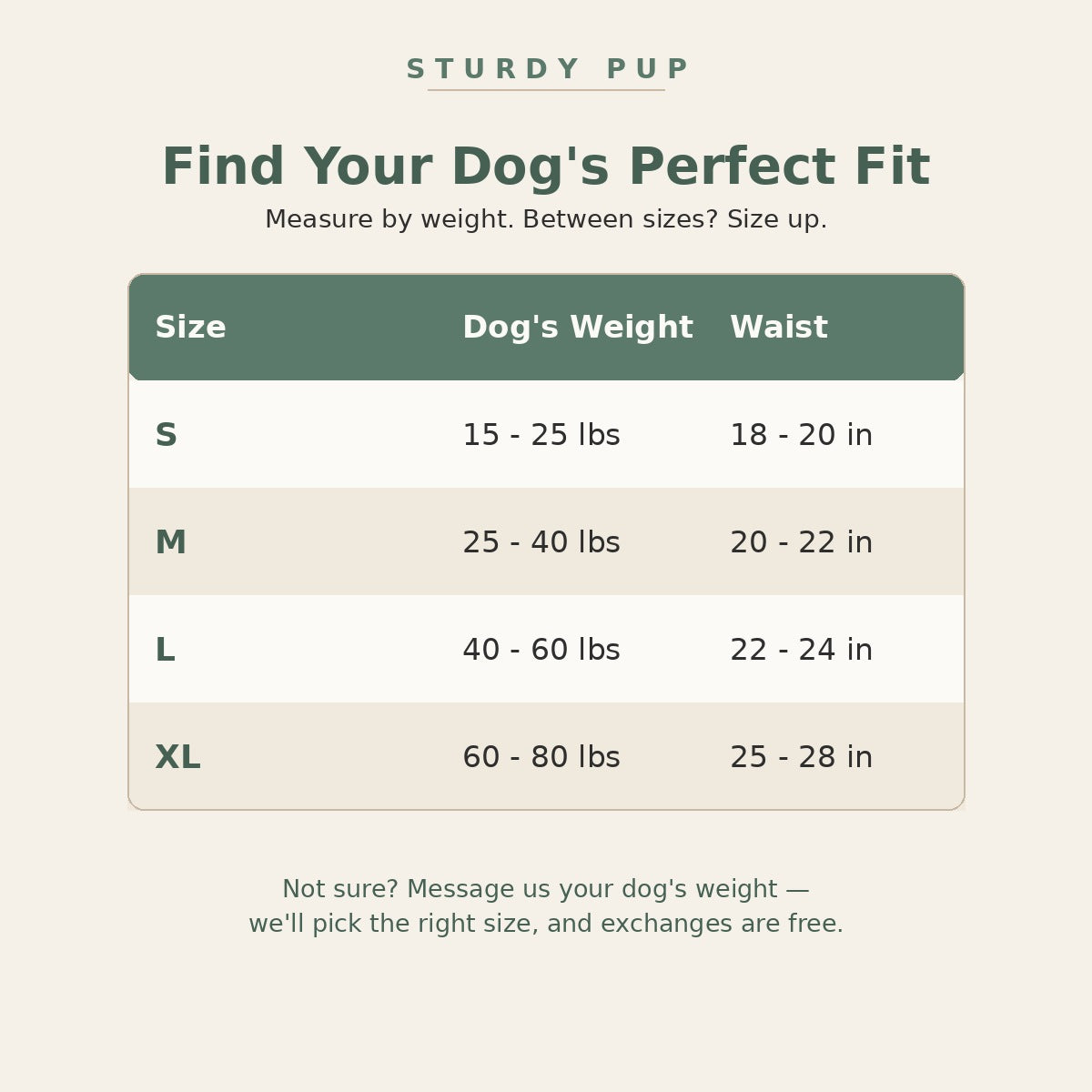 Rear-Support Mobility Harness for Senior Dogs