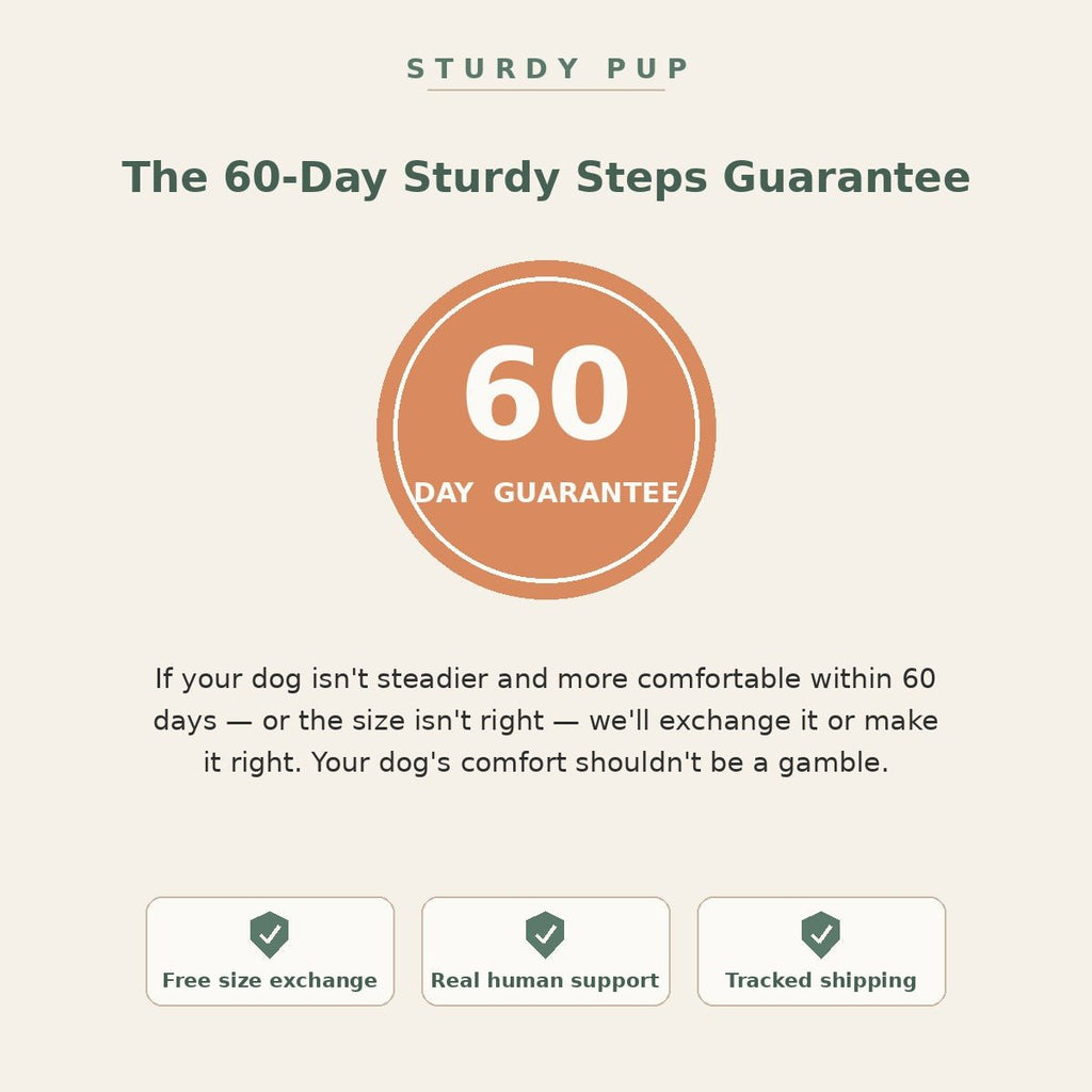 Non-Slip Grip Socks for Senior Dogs for senior dogs - Dog Mobility by Sturdy Pup