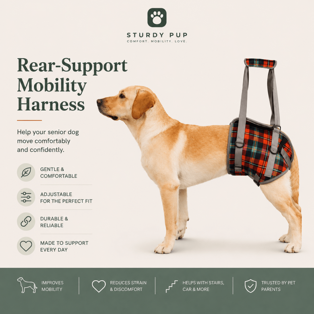 Rear-Support Mobility Harness for Senior Dogs for senior dogs - Dog Mobility by Sturdy Pup