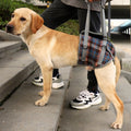 Rear-Support Mobility Harness for Senior Dogs for senior dogs - Dog Mobility by Sturdy Pup