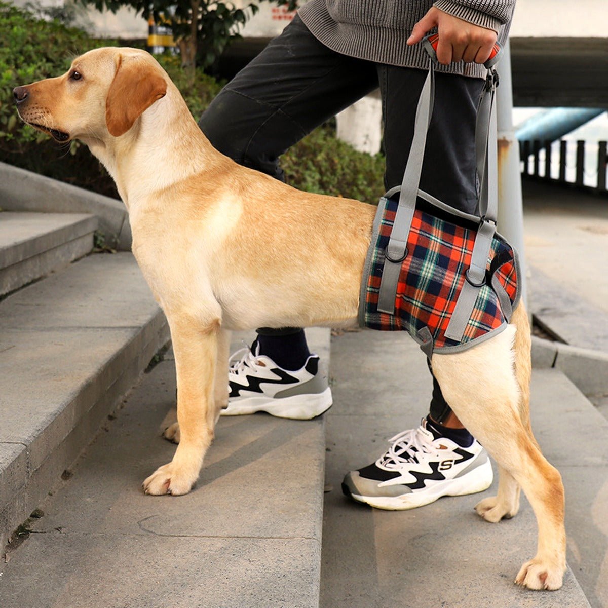 Rear-Support Mobility Harness for Senior Dogs for senior dogs - Dog Mobility by Sturdy Pup