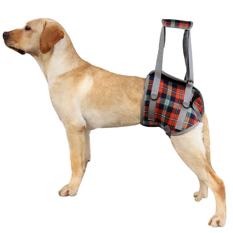 Rear-Support Mobility Harness for Senior Dogs for senior dogs - Dog Mobility by Sturdy Pup