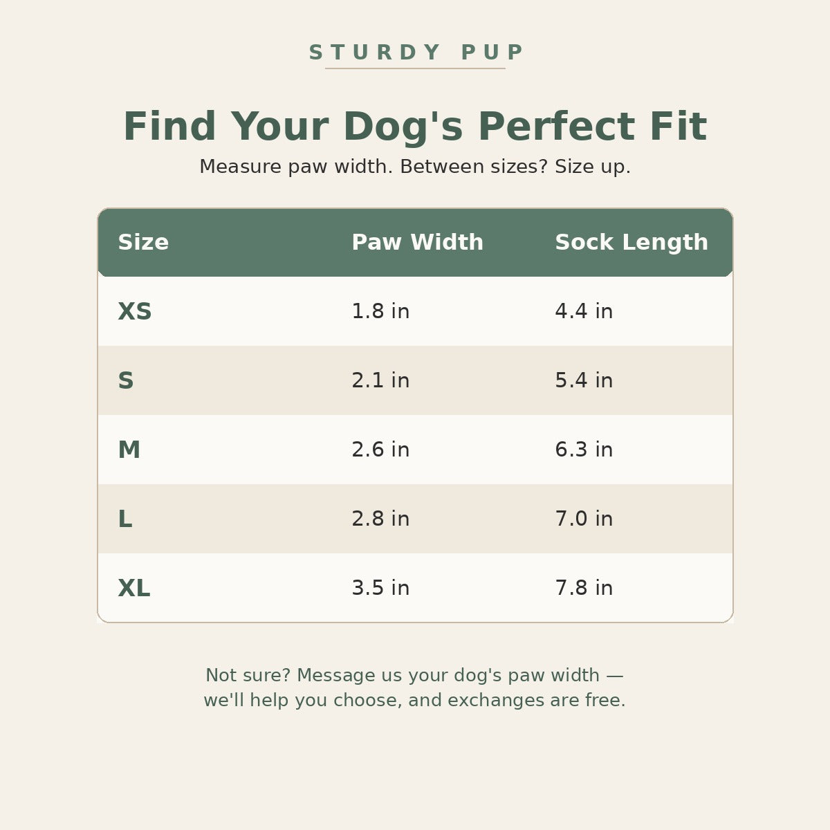 Non-Slip Grip Socks for Senior Dogs