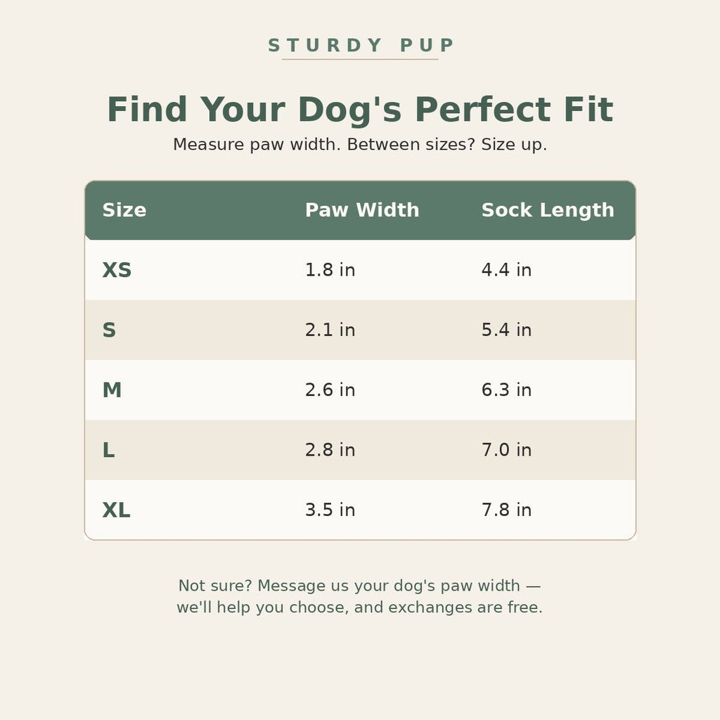 The Comfort Set for senior dogs - Dog Mobility by Sturdy Pup