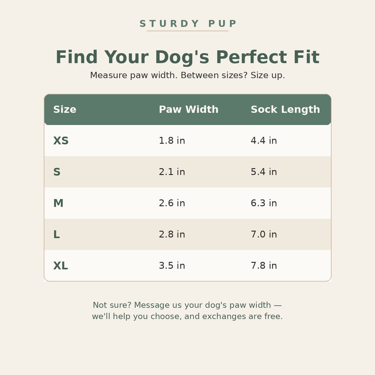 The Comfort Set for senior dogs - Dog Mobility by Sturdy Pup