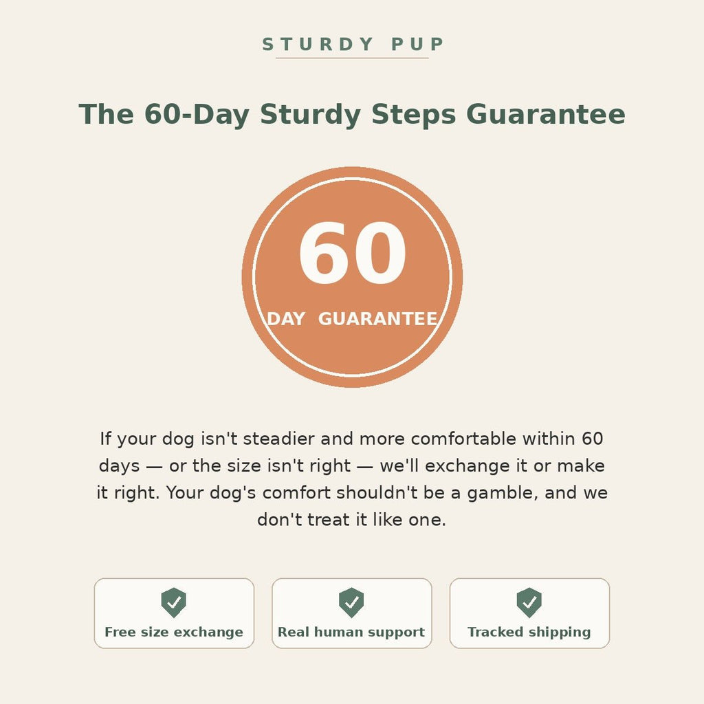 The Comfort Set for senior dogs - Dog Mobility by Sturdy Pup