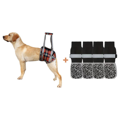 The Comfort Set for senior dogs - Dog Mobility by Sturdy Pup