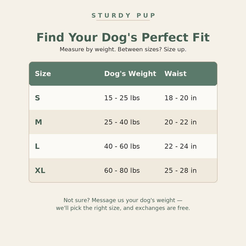 The Comfort Set for senior dogs - Dog Mobility by Sturdy Pup